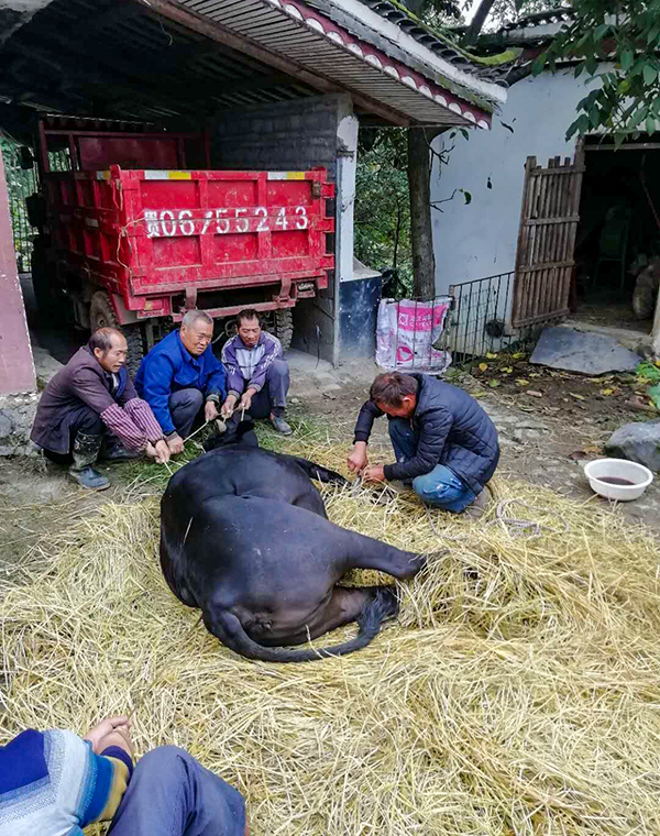 服務地方產業(yè)   助力脫貧攻堅